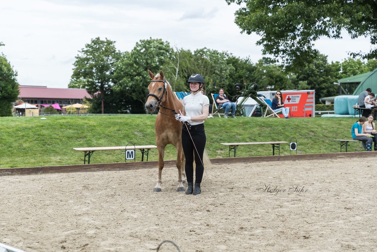 Bild 17 - Pony Akademie Turnier